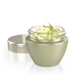 CLAYTON SHAGAL - Gel Élastine