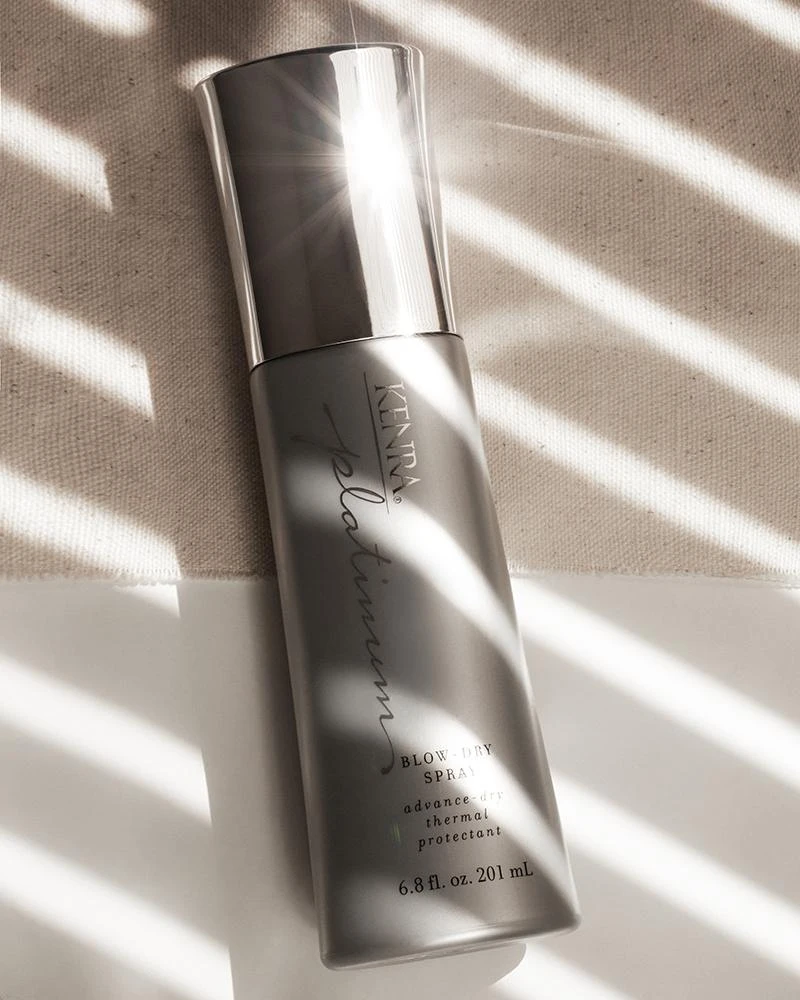 KENRA - Kenra Platinum Blow-Dry Spray – Image 4